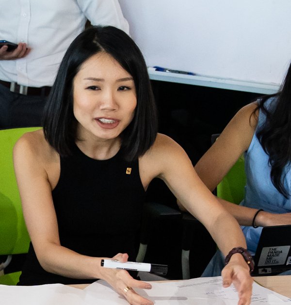 Janissa leading a stakeholder workshop